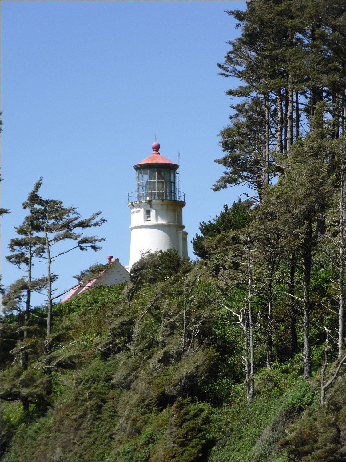 Yachats, OR- Photos taken at Heceta Lighthouse